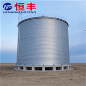 The 3000 Ton Flat Bottomed Steel silo