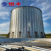 The 2000 Ton Flat Bottomed Steel Silo