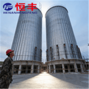 The 10000 Ton Flat Bottomed Steel Silo