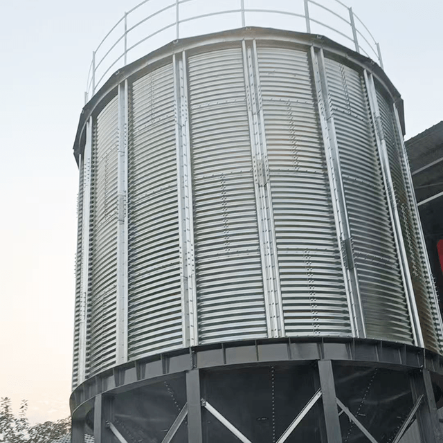 10000T Galvanized Steel Silos for Feed And Grain Processing Cone And Flat Bottom Designs Grain Silo