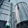 Hot Sale Silo with Best Price Steel Flat Bottom Buckwheat Silos